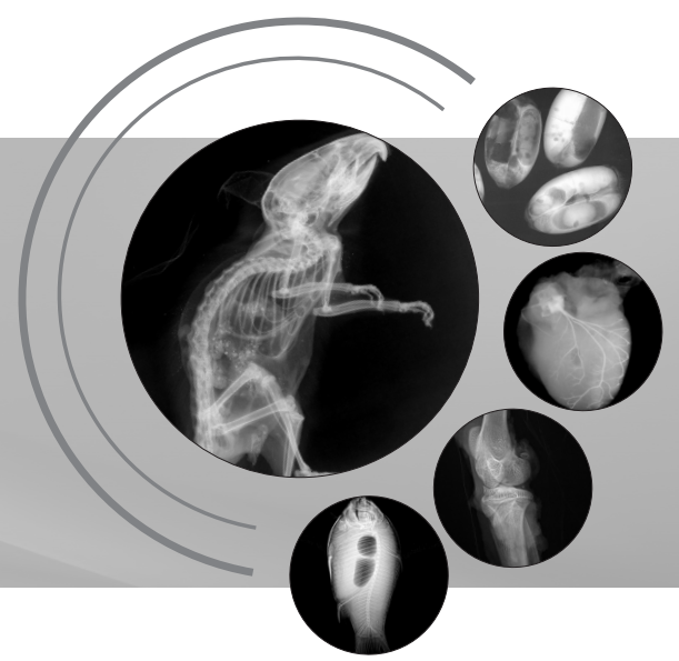生命科學(xué)研究、小動(dòng)物、種子檢測(cè)